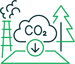 co2 icon