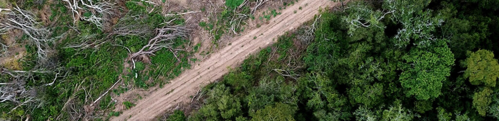 dirt road aerial view