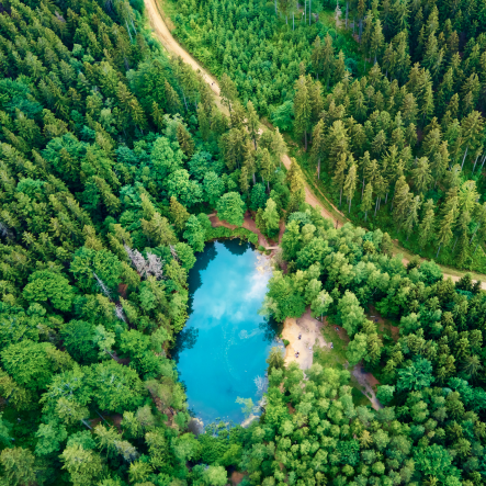 amazon birds eye view