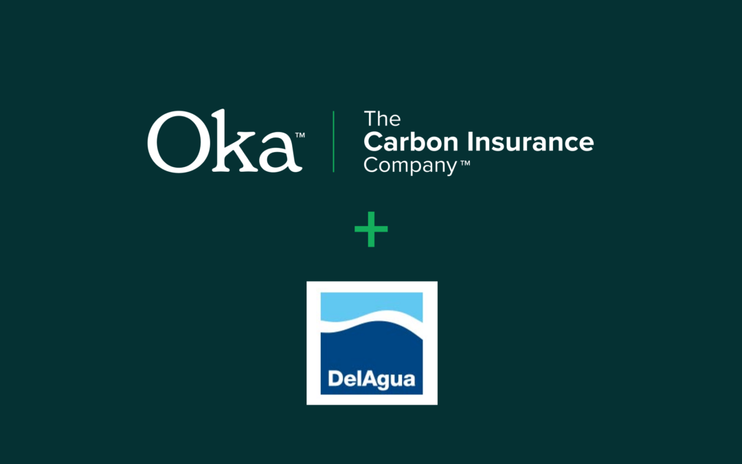 Oka™ and DelAgua Enter the Compliance Carbon Markets With Article 6 Insurance