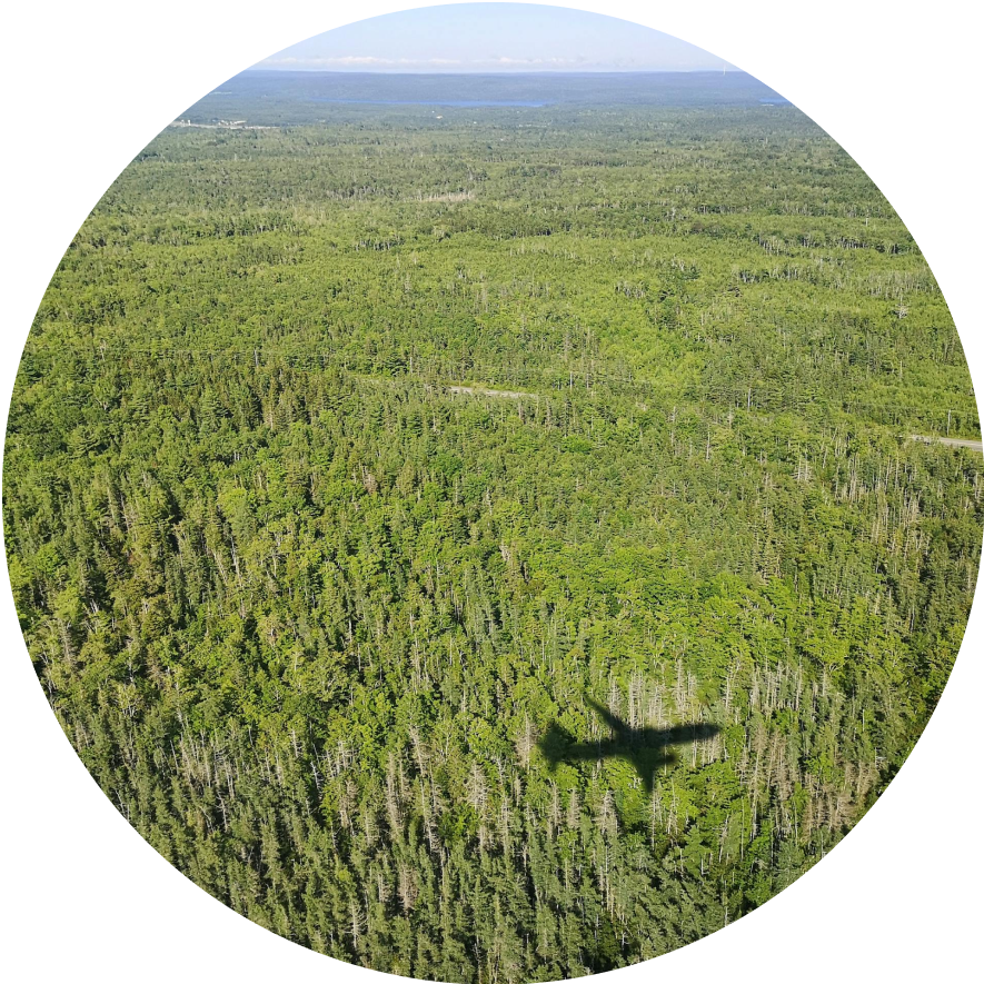 plane shadow over field