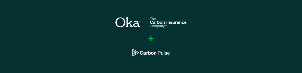 carbon pulse news header